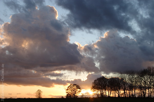 Sonnenuntergang unter Wolken dramatische Lichtstimmung Naturfoto Bume Horizont Gegenlicht