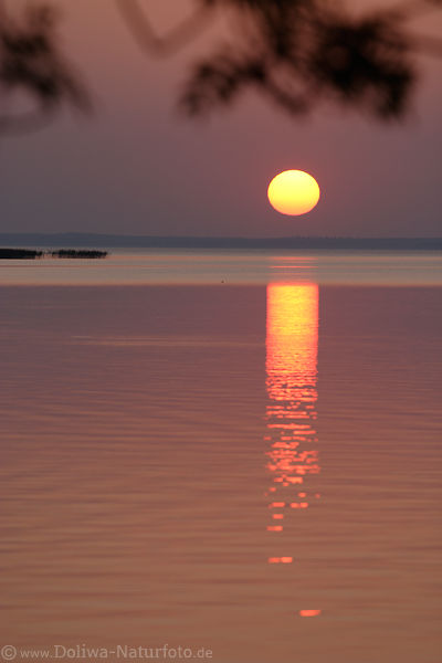 Sonne gelbroter Ball ber Seewasser Sonnenuntergang