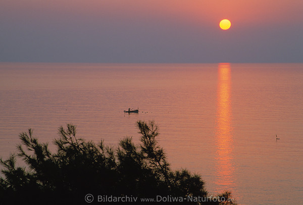 Sonnenaufgang über Meer Küste Seehorizont Fischerboot rosa-rot Farben