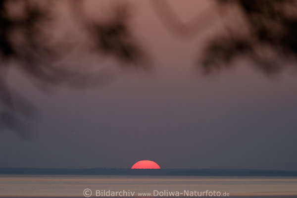 Sonne rote Halbkugel hinter Waldhorizont stille Seetafel Wasser