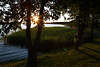 109882_Sonnenstern Lichtstrahlen über Bäume am Seeuferschilf Naturbild Romantik am Wasser