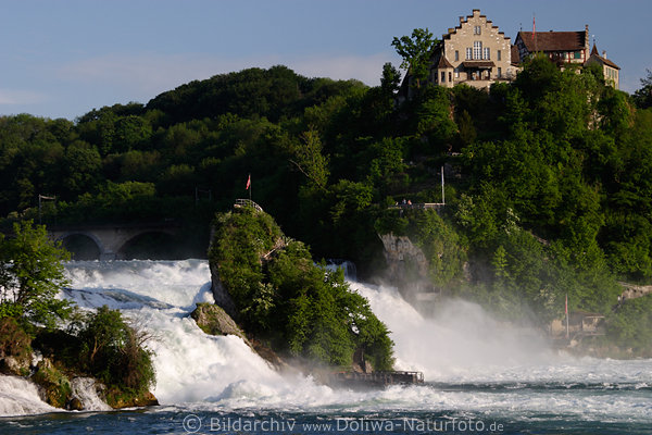 Rheinwasserfall Foto Katarakt tosende Wassermassen Gischt Kaskaden bei Schaffhausen