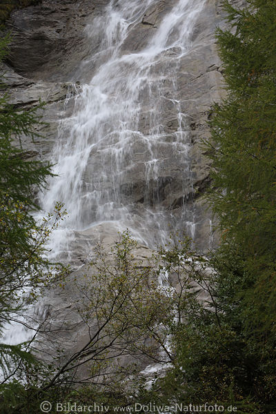 Wasserfall Bild fliessendes Nass Wassersturz entlang Felswand Naturfoto durch Baumbltter
