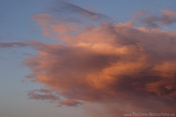 Rotwolke am Abendhimmel in Wind zerzaust Stimmungsbild windige Gewitterwolke
