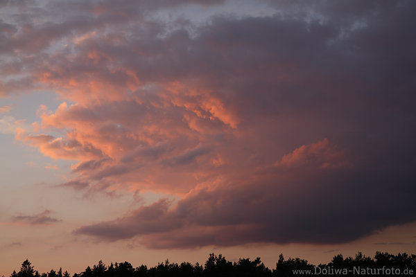 Gewitterwolke wie Maul Schlund in Wind Abendlicht Wetterstimmung