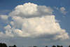 805014_ Weisse Wattewolke Foto am blauen Himmel in Naturbild