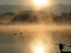 Nebelschwaden Goldsonne über See Wasser Naturbild Angel Bergblick gelb Nebelstimmung Spiegelung