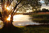 Sonnensterne Sonnenuntergang in Baum Wasserlandschaft Seeufer Gegenlicht Romantik Naturfoto