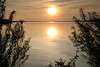 Sonnenuntergang über Wasser Sonnenkugel Gegenlicht Spiegelung in Schwenzait-See Naturufer