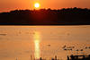 Sonne Vögel Wasserlandschaft orange Gegenlicht-Stimmung Naturfoto romantische Abendstille