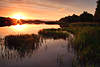 Sonnenuntergang über See Schilf-Inseln Wasserlandschaft Romantik Naturbild Abendstille
