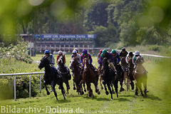 Galoppaden vom BMW Derby Meeting + Diana Preis in einmaligen Fotos