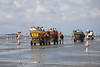 Wattkutschen Pferdetour zur Insel Neuwerk in Ferne Wattenmeer Foto Cuxhaven Reise