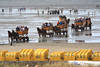 Watt-Kutschfahrt Cuxhaven Insel Neuwerk Pferdeausflug ins Wattenmeer Fotos Kutschenkolonne