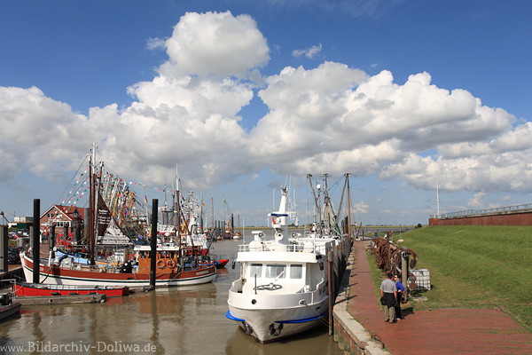 Ditzum Hafensiel romantische Emslandschaft Schiffe in Wasser