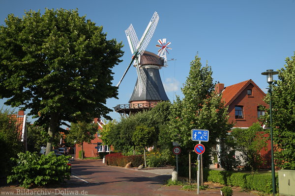 Ditzum Strassenbild Windm�hle Gr�nidylle Postkartenmotiv Emsdorf romantische Stadtlandschaft