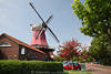 802548_Schoof-Mühle Bilder, Greetsiel Windmühle mit Café, rot-lila Frühlingsfarben in Baumblüte