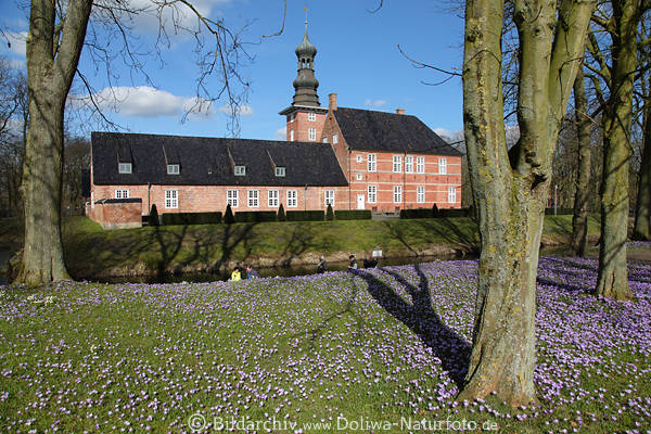 Schloss Husum Park Romantik Frhling-Krokusblte Bild