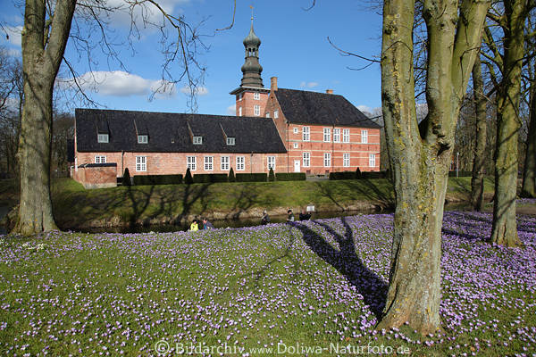 Schloss Husum Park Romantik Frühling-Krokusblüte Bild