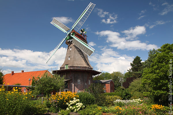 Jemgumer Peldemhle Panorama ber Blumengarten Galeriehollnder-Windmhle