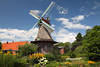 Mühle Jemgum Galerieholländer-Windmühle über Blumengarten