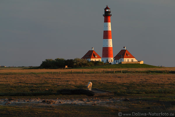 Nordsee-Leuchtturm Westerheversand