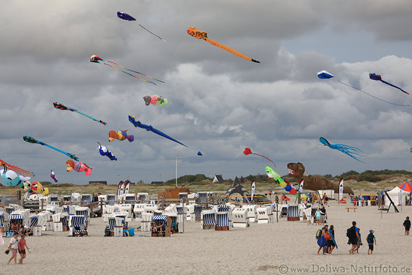 Fliegende Drachen ber Strand St. Peter-Ording Nordseekste Festival Besucher