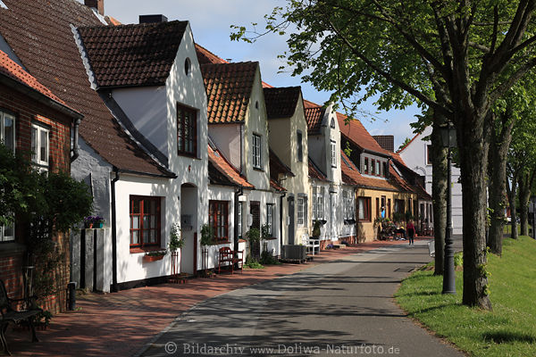 Tnning Huserzeile Bume Allee Landschaft Idylle am NordwestkaiEiderufer in Sonnenschein