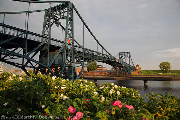 Jadekanal blhende Ufer Kaiser-Wilhelm-Brcke Blumen Frhlingsblte Wilhelmshaven Foto