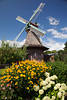 Windmühle Jemgum Galerieholländer-Mühle über Blumen im Hochformat