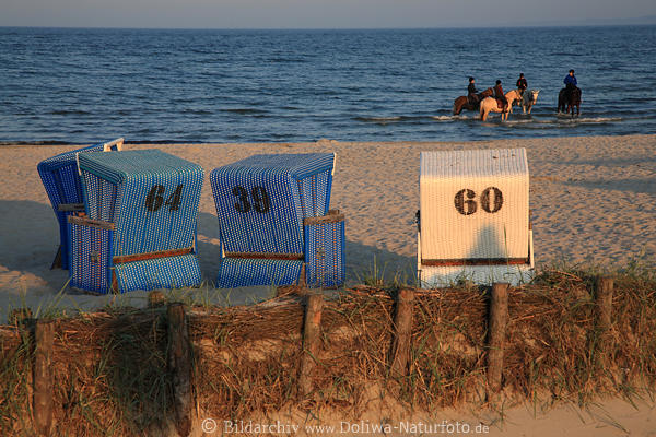 Meer Sandstrand-Krbe Wasser-Reiter Ostseebad Damp Landschaft Abendsonne Idylle