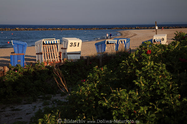 Ostseekste Strand Krbe Meer Grnufer Landschaft Paar Spaziergang Abendsonne Seebad Damp