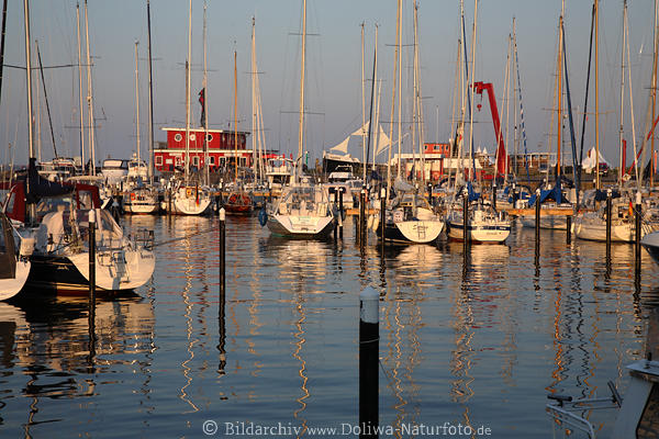 Segelboote Maste Abendlicht Romantik Yachthafen Damp Foto Ostsee Meerwasser Spiegelung