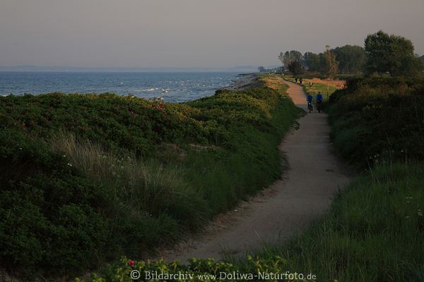 Kstenweg Uferweg Meerwasser Ostsee-Landschaft Damp Radwanderweg in Abendlicht