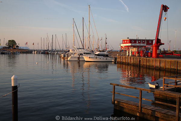 Damp Meer-Mole Hafen-Schiffskran Jachtboote in Wasser Ostseekste