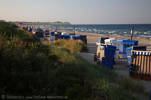 Ostseestrand Damp Kste Krbe Meer-Panorama Wasser-Landschaft