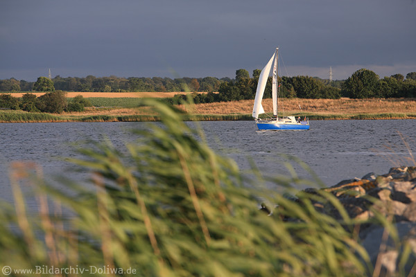 Schleibild: Wind-Lichtstimmung Segler Ostseefjord Wasserlandschaft Naturfoto