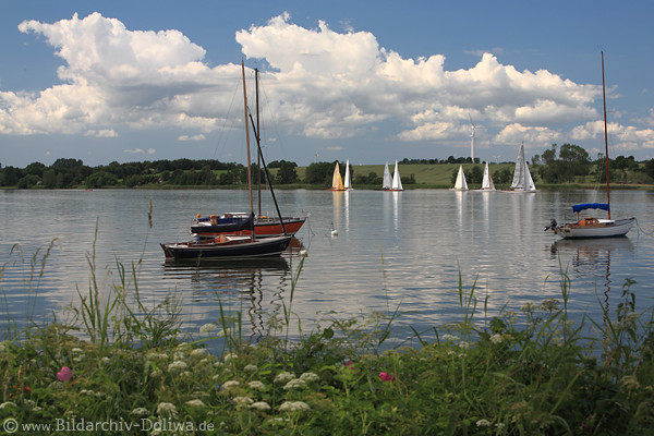Fjordlandschaft Schlei Foto Segelboote Ostseefjord Wolkenstimmung Wasserbild