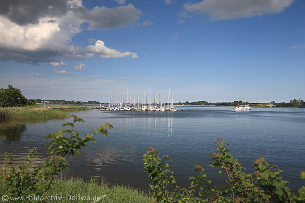 Schleibild Lindaunis Wasserlandschaft Ostseefjord Naturfoto Schilfufer Bootshafen Weitblick