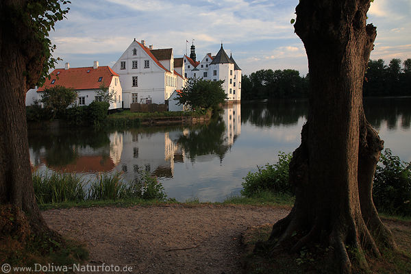 Schlopark Glcksburg Baumstmme weisses Schloss Wasser Blick durch Bume