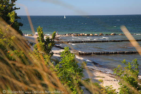 Ostsee Meerkste Landschaft Wasser Wellenbrecher Naturstrand Steilufer Grser