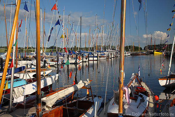 Segelboote Panorama in Schleiwasser Yachthafen Kappeln bunte Fjordlandschaft Foto