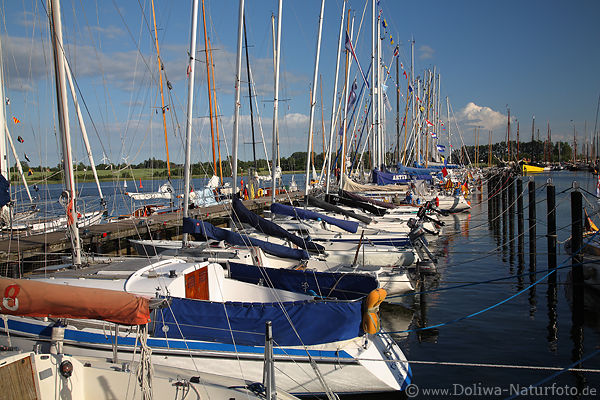 Yachthafen-Bild Kappeln Segelboote in Schlei-Wasserlandschaft Ostsee Binnenhafen-Panorama