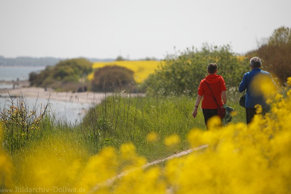 Ostsee-Gelbkste Wanderpaar Hochufer Rapsblte Meer-Spaziergang Naturfoto 231112 Bild