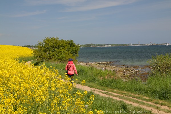 Gelbuferpfad Ostseekste Feldblte Wanderin Spaziergang am Meer Wasserpanorama 231046 Naturfoto