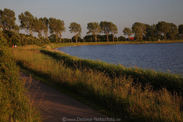 Uferweg Maasholm Wanderer Schlei Wasserbucht Bume Landschaft