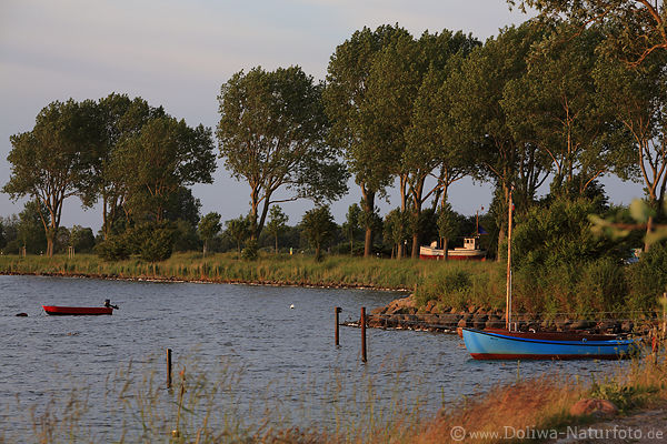 Maasholm Seeufer Boote Bume Kste-Landschaft Fjord Schlei Wasserbucht