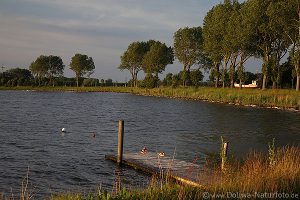 Maasholm Frde Wassersteg Kste Landschaft Uferbume Boot
