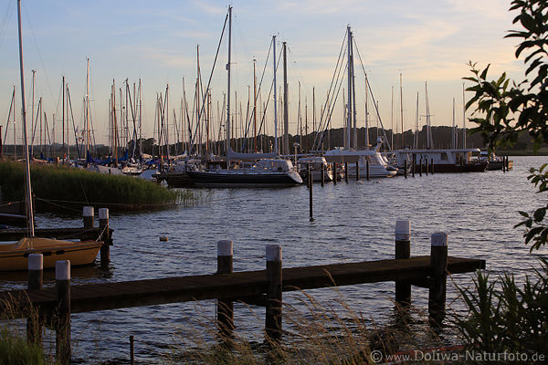 Seglerhafen Maasholm Foto Yachtboote in Fjord Schlei Wasserlandschaft Ostseekste