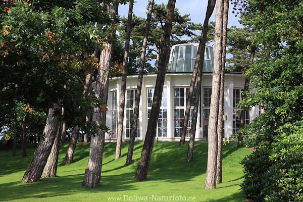 Kunstgalerie TimmendorferStrand Park B�ume Lichtstimmung Foto